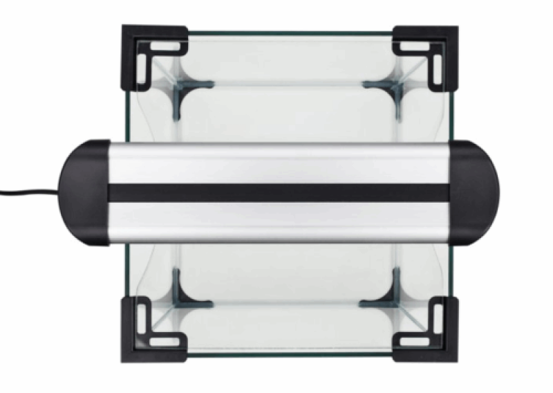 LED Intenso Farbe